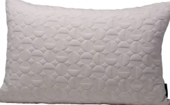 AJ Cushion Vertigo
