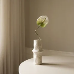 Anthurium Flower
