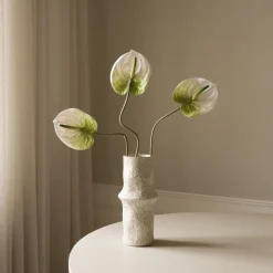 Anthurium Flower