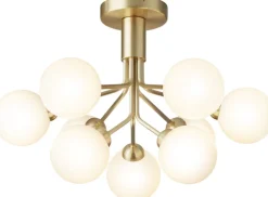 Apiales 9 Ceiling