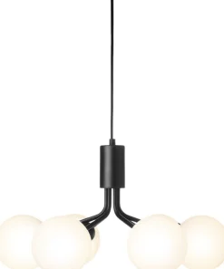 Apiales 6, satin black / opal