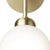 Apiales Wall, brushed brass / opal