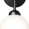 Apiales Wall, satin black / opal