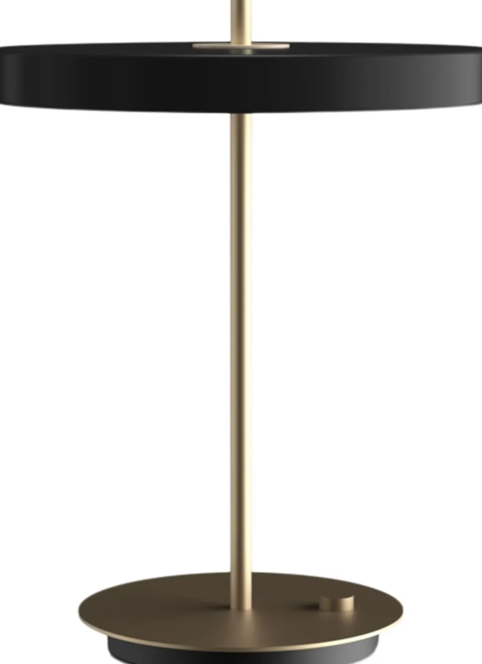 Asteria Table Lamp