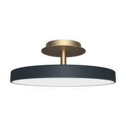 Asteria Up Plus