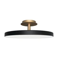 Asteria Up Plus