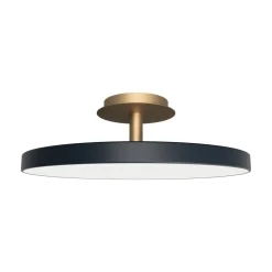 Asteria Up Plus