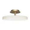 Asteria Up Plus