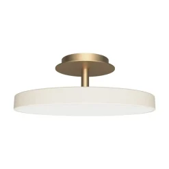 Asteria Up Plus