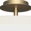 Asteria Up Plus