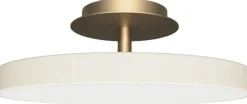 Asteria Up Plus