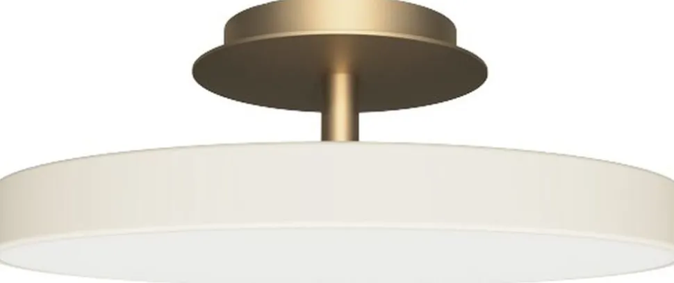 Asteria Up Plus