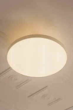 Asteria Up Plus