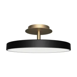 Asteria Up Plus