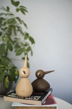 Bird stor egetræ natur