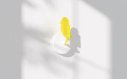 Birdie