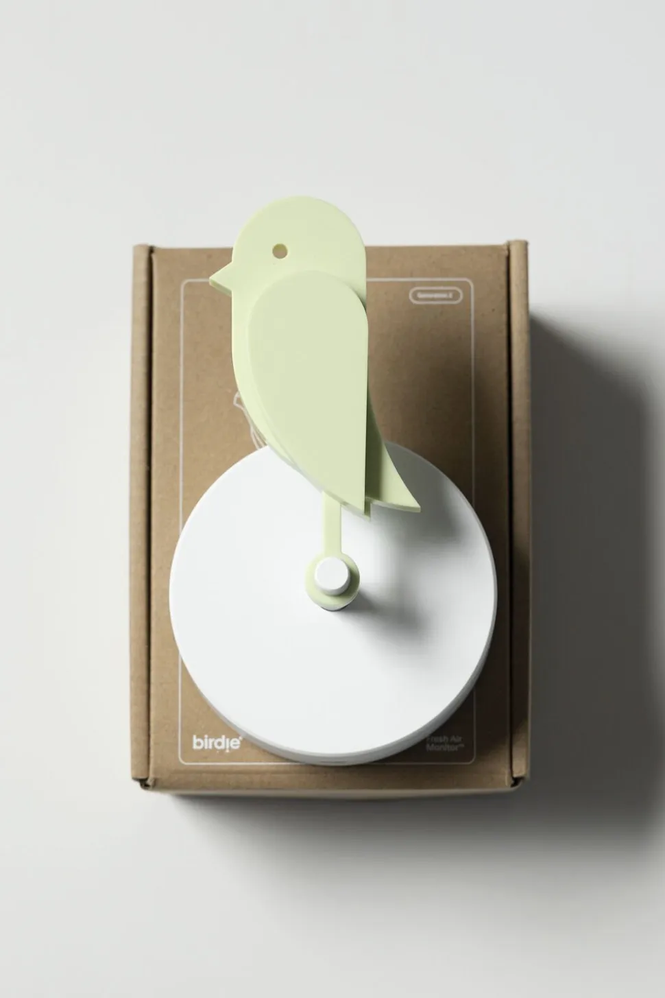 Birdie - Meadow