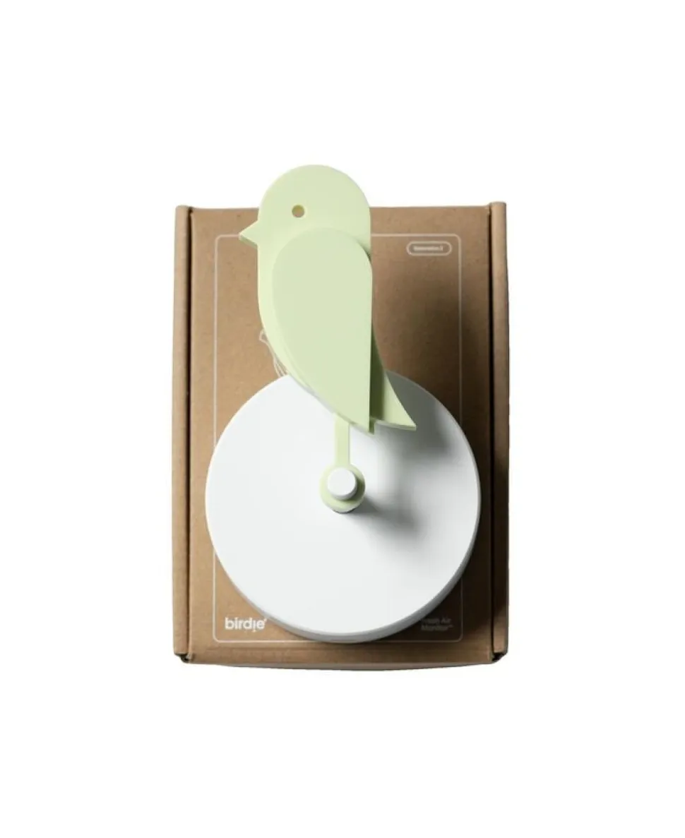 Birdie - Meadow