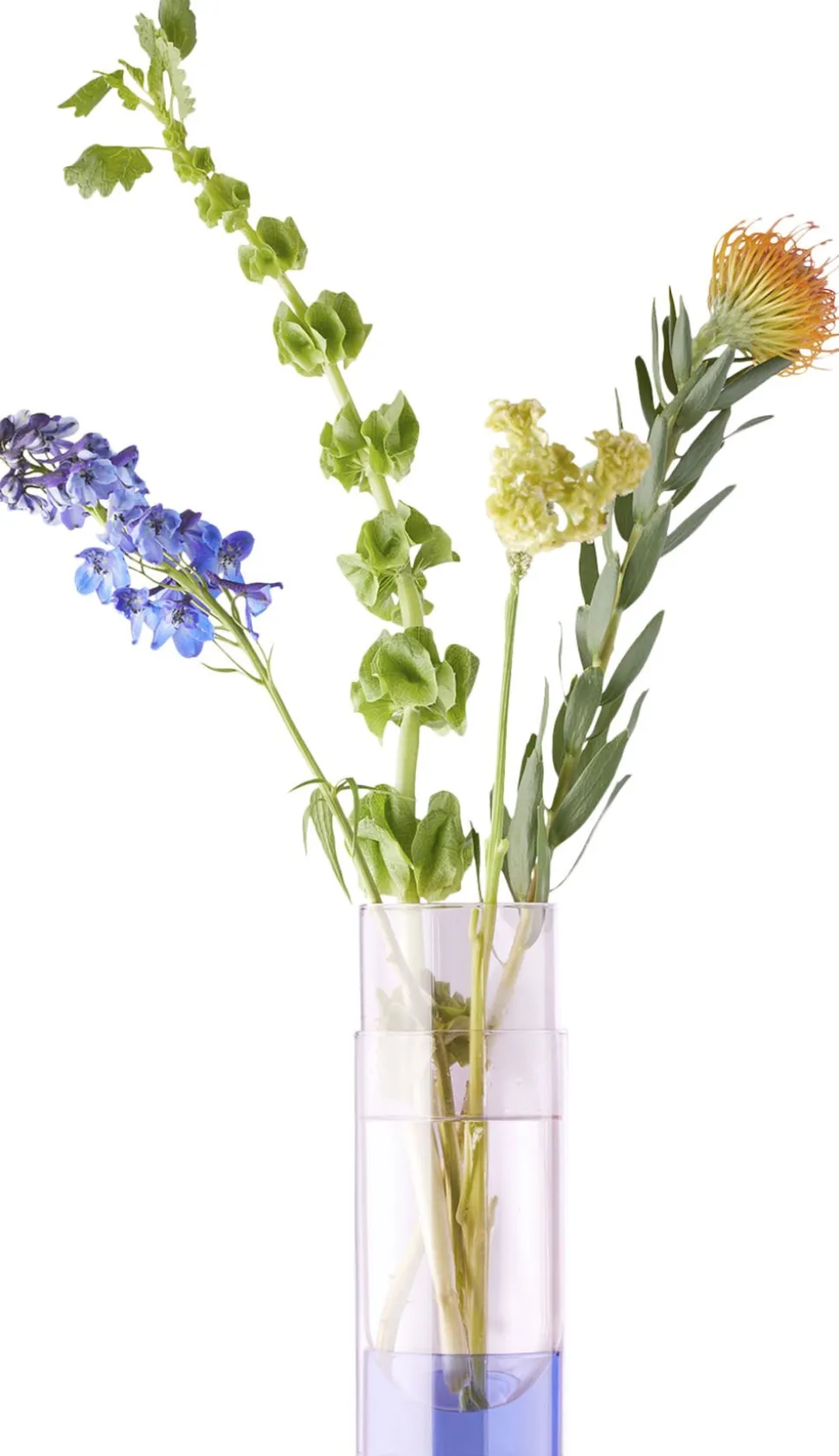 BOUQUET TUBE, LARGE, ROSE, 95270R