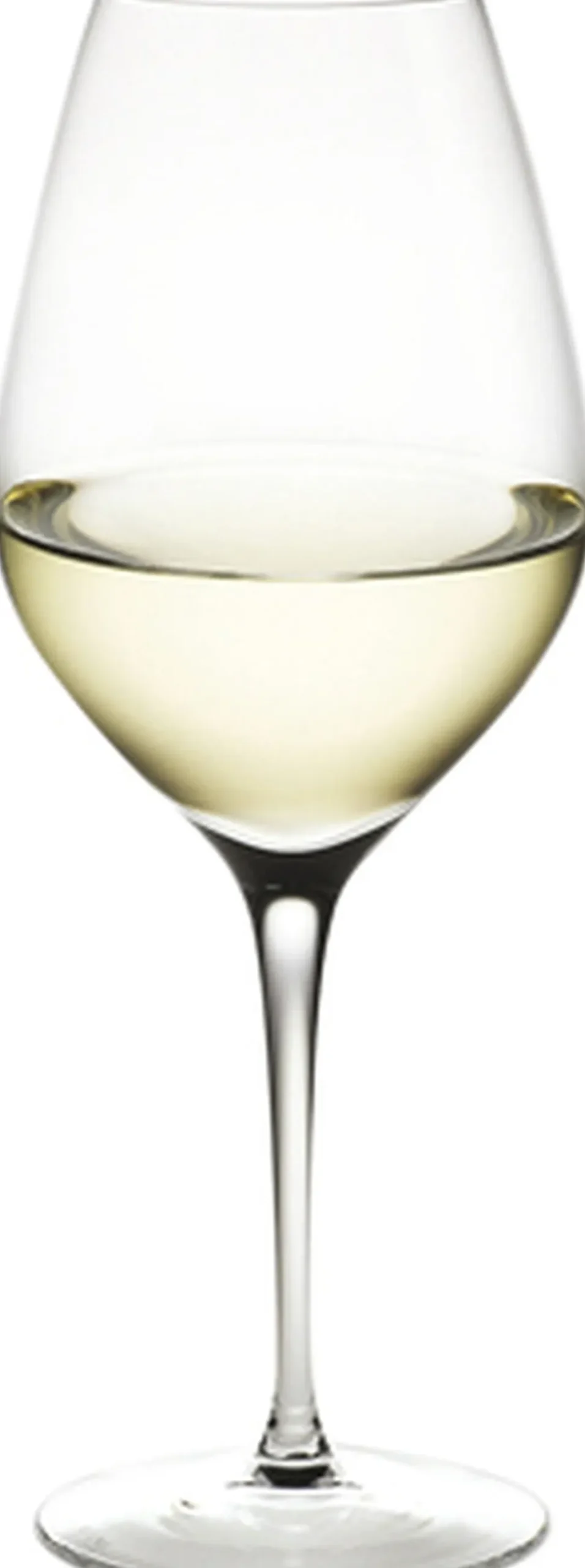 Cabernet Hvidvinsglas klar 36 cl 6 stk.