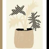 Checkmate Plant