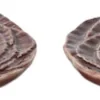 Coaster Veggie 2pcs/set