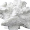 Coral, large fan