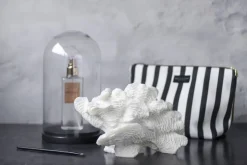 Coral, large fan