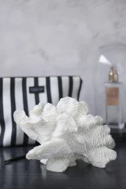 Coral, large fan