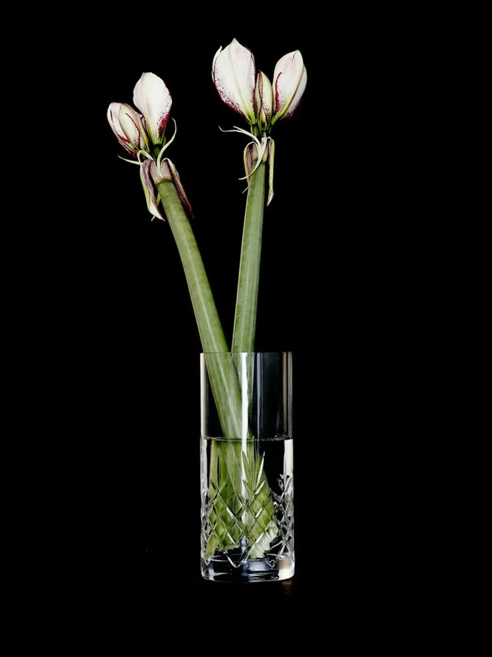 Crispy Love vase 1