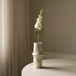 Delphinium Flower