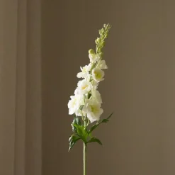 Delphinium Flower