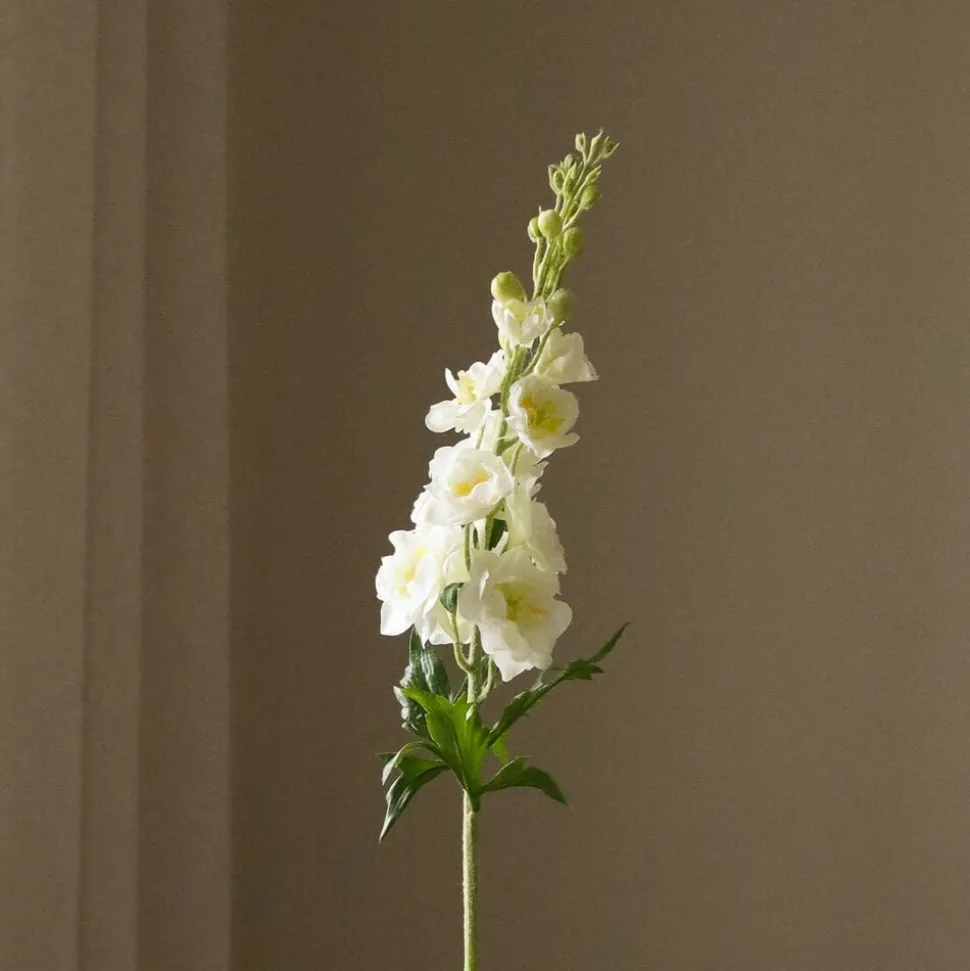 Delphinium Flower