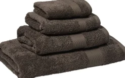EGYPT FOSSIL