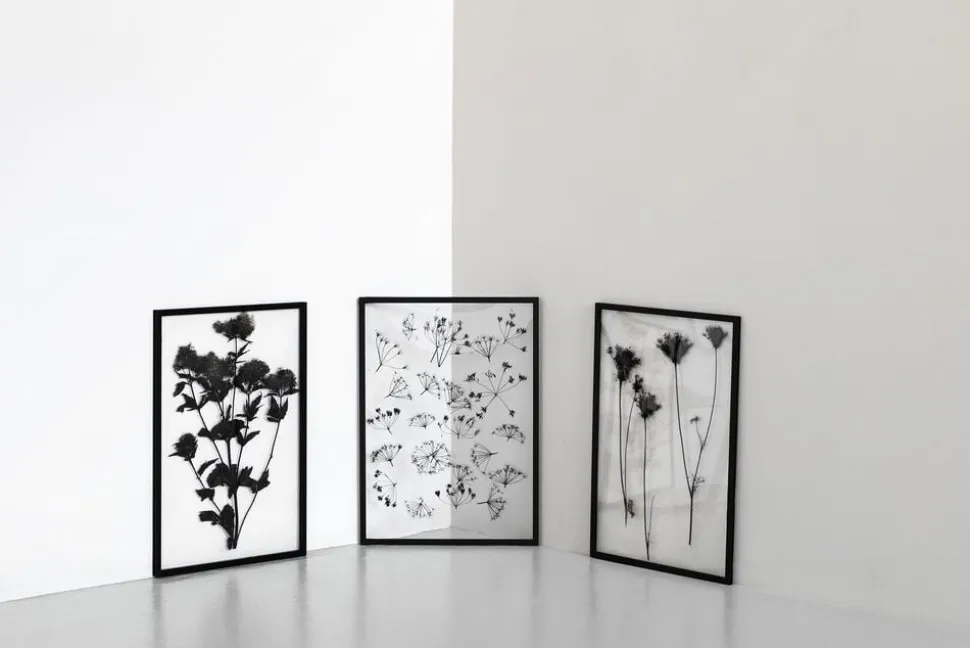 Frame ramme A3