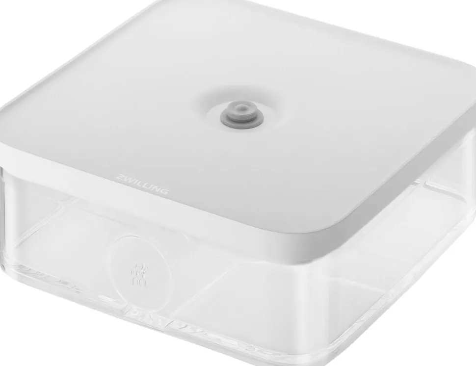 Fresh & Save CUBE Beholder L gen-hv
