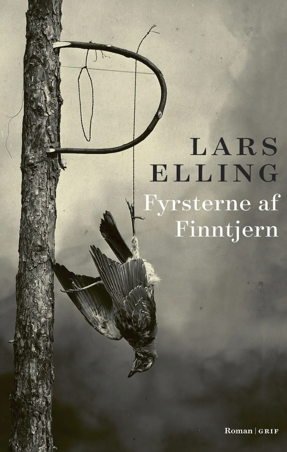 Fyrsterne af Finntjern