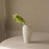 Green Cymbidium Orchid Flower