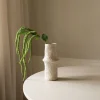 Green Three Forks Amaranthus Flower