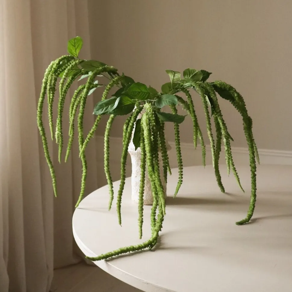 Green Three Forks Amaranthus Flower