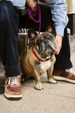 HAY Dogs Collar Flat-M/L-Red, blue