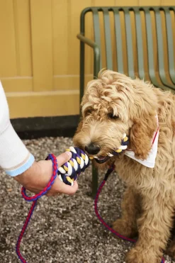 HAY Dogs Rope Toy-Blue, purple, och