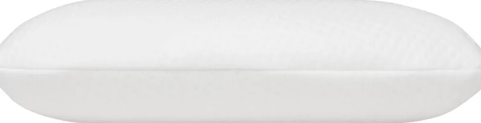 Høie Classic skumpude 60x40x11