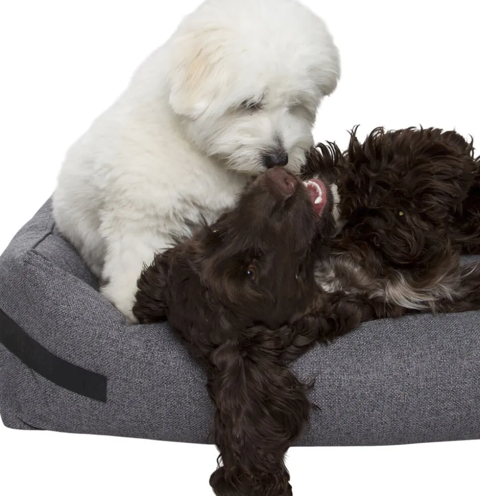Hundeseng HYGGE Anthracite