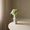 Hydrangea Flower