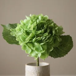 Hydrangea Flower