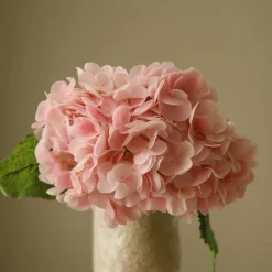 Hydrangea Flower