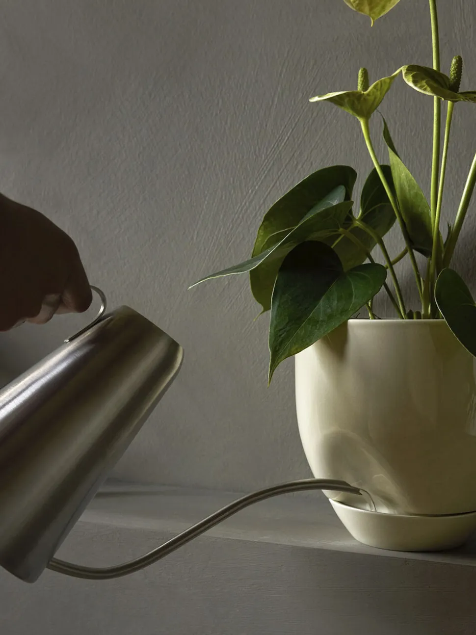 Hydrous Planter, Ø12, Ashen