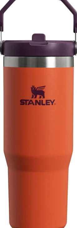 IceFlow Flip Straw Tumbler 0.89L