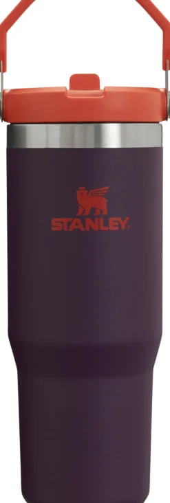 IceFlow Flip Straw Tumbler 0.89L